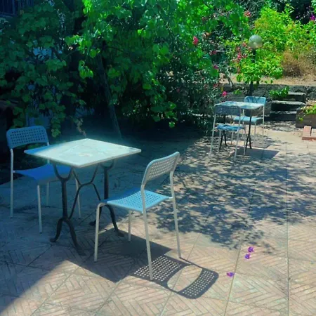 Apartamento Sunflowers Confort In